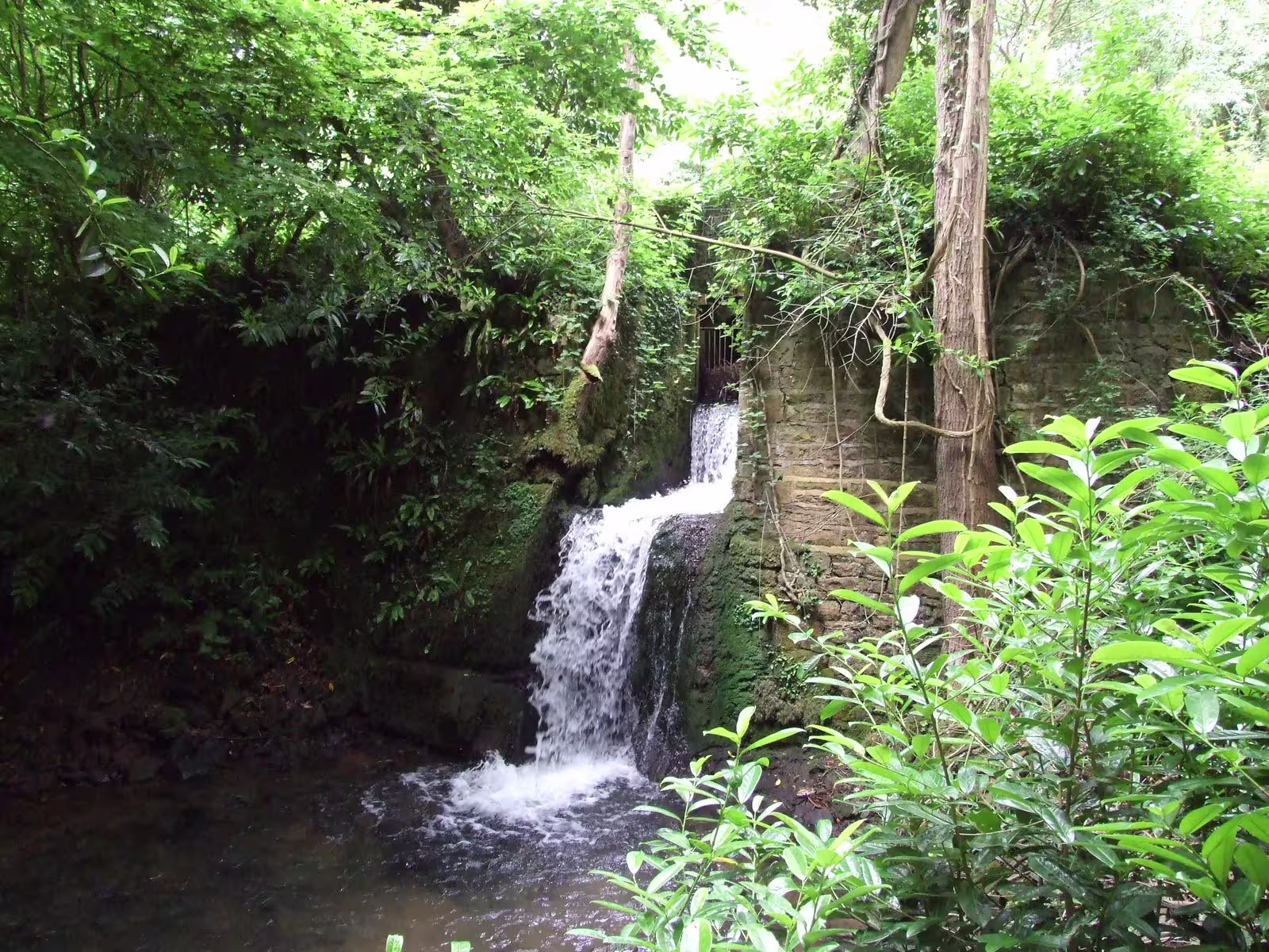Clanna Woods and Ponds Waterfall Image