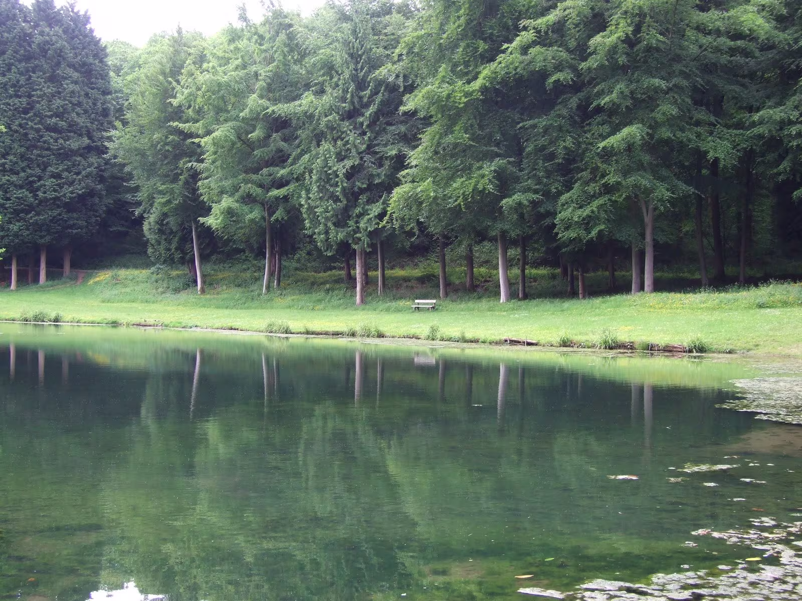 Clanna Woods and Ponds Lake View with benches