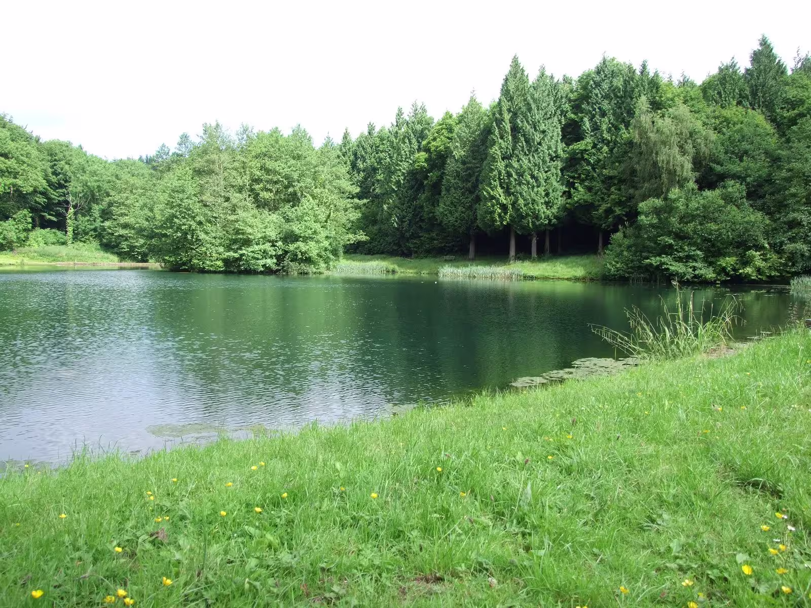 Clanna Woods and Ponds Lake View in the distance