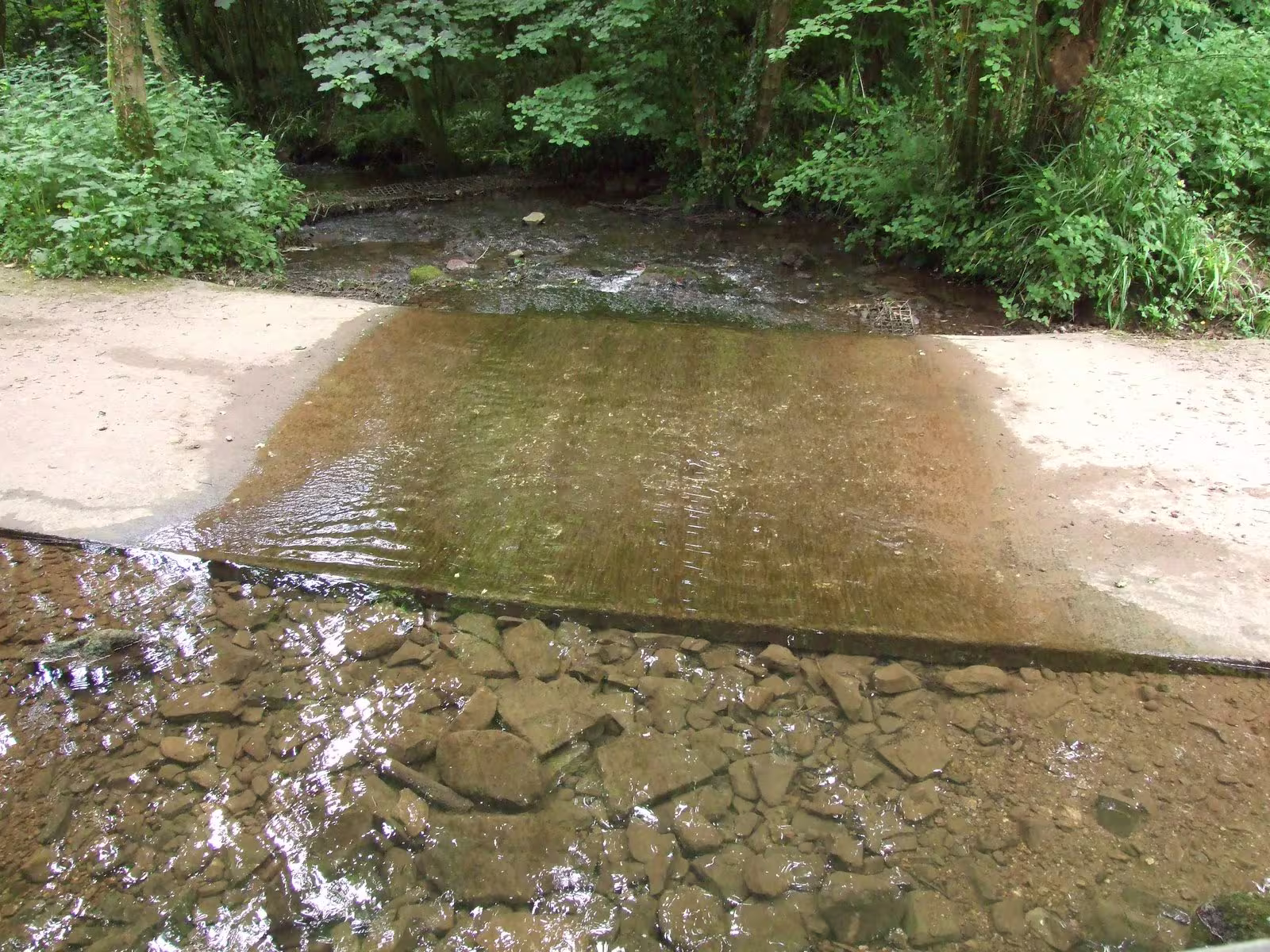 Clanna Woods and Ponds water ford
