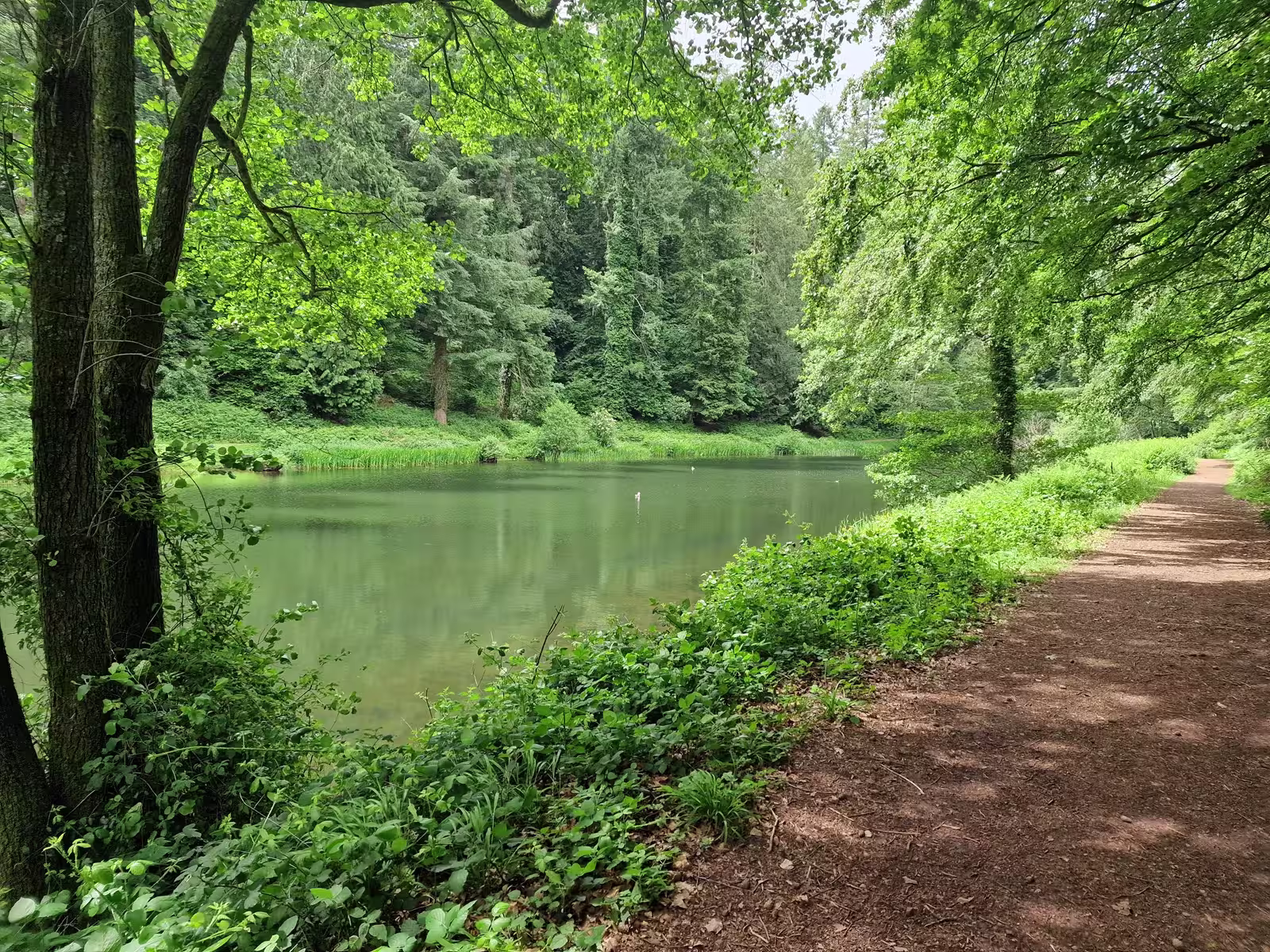 Soudley ponds lake image