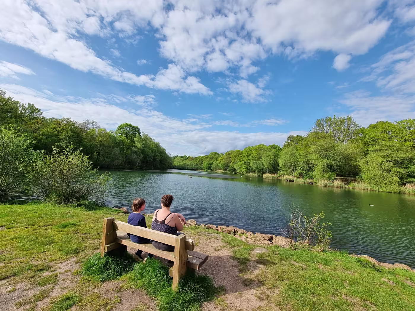 Cannop Ponds Forest of Dean May 2026