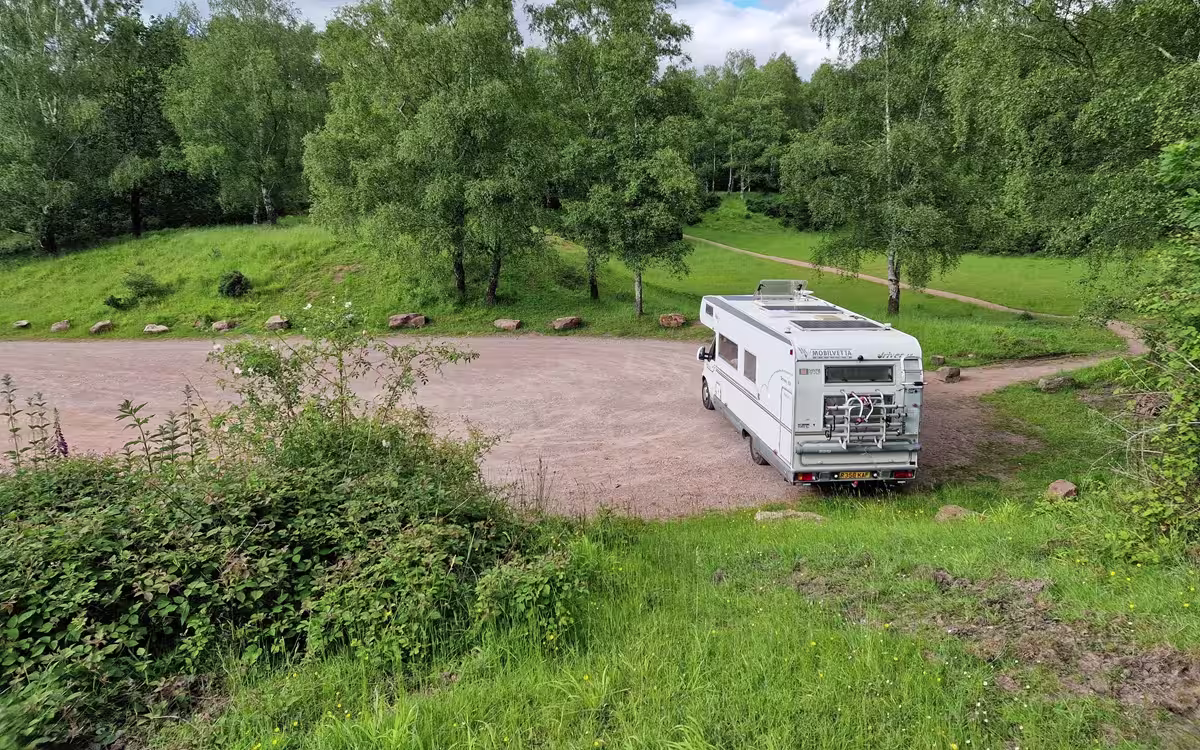 Campervan parked up amongst towering green trees in the Forest of Dean