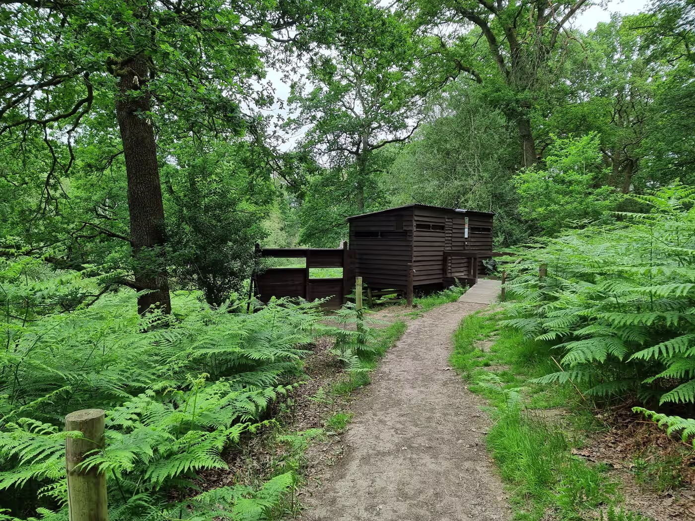Nagshead Nature Reserve Bird Hide Gloucestershire 2025